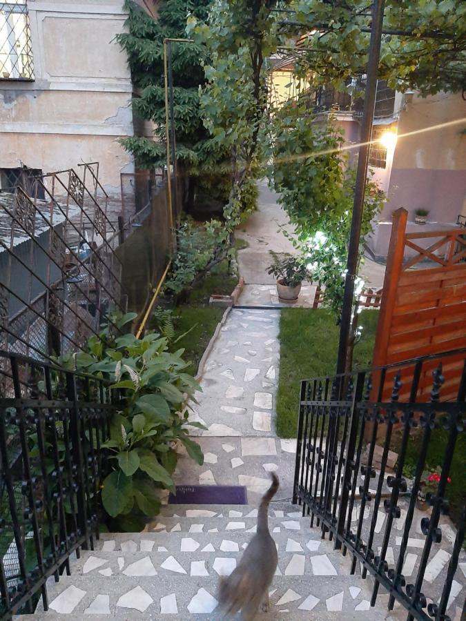Piccola Italia Casa Racovita Клуж-Напока Екстериор снимка