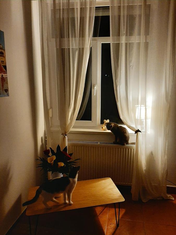 Piccola Italia Casa Racovita Клуж-Напока Екстериор снимка